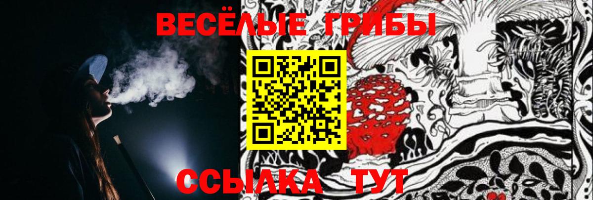 Галлюциногенные грибы Psilocybine cubensis  Вход с VPN  Можга 